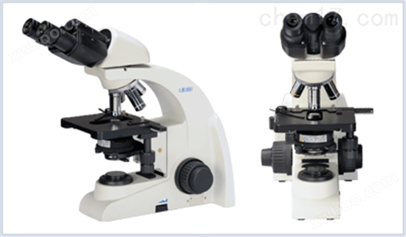 澳浦UB100i 系列生物显微镜
