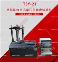 TSY-21塑料排水带芯带压屈强度试验机