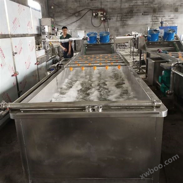 全自动果蔬气泡豆制品海产品清洗机
