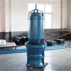 大口径轴流泵厂家 泵站改造