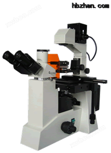 BM-38X ，倒置荧光显微镜价格