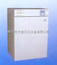 电热恒温培养箱DNP-9052