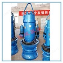 600型潜水轴流泵|QZB型潜水轴流泵|天津轴流泵|轴流潜水泵|轴流泵厂家