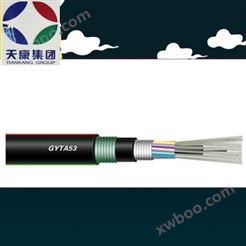 GYXTW-4B1局部通讯用光纤光缆 天康光纤电缆