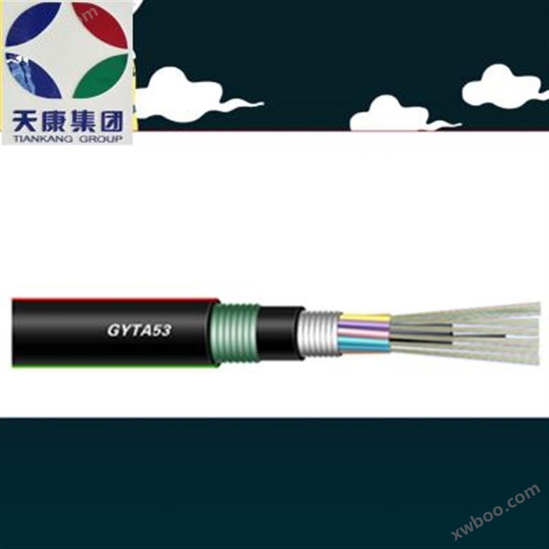 GYXTW-4B1局部通讯用光纤光缆 天康光纤电缆