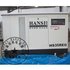 HANSI翰丝35KW燃气发电机【HS35REG】