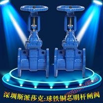 铜芯闸阀_人防铜芯防护闸阀明杆铜杆铜芯防护闸阀z41t-16qdn100 150200