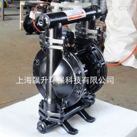 QBP-20气动隔膜泵(铸钢）