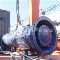 德能泵业高扬程潜水泵安装介绍