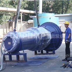 排灌泵站井筒式轴流泵制造厂 长江流域使用