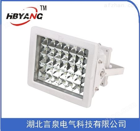 HRD/97免维护LED防爆泛光灯