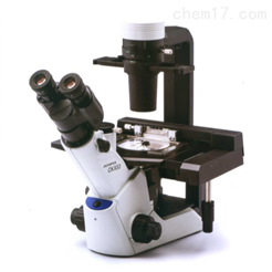 CKX53奥林巴斯生物显微镜